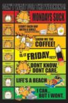 Garfield Days Poster