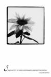Simplicity Flower Poster