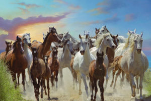 Roaming Free
