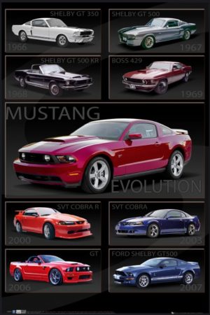 Ford Shelby Mustang Evolution Car Poster