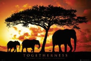 Elephant Togetherness Poster