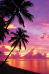 Tahitian Sunset Poster