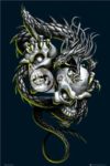 Dragon Dual Skulls