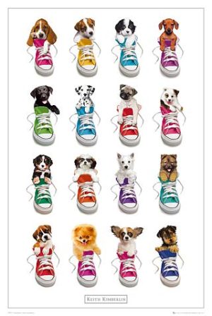 Keith Kimberlin - Puppies In Sneakers Poster