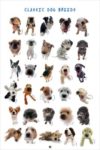 Classic Dog Breeds