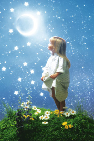 La Nuit Enchantee
