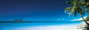 Beach Morning Jumbo Poster