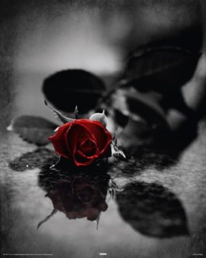 Red Gothic Rose Mini Poster