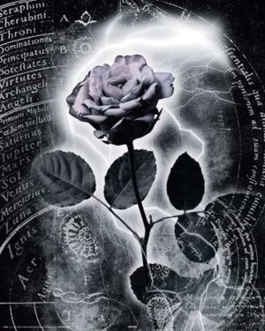 Mercury Rose Mini Poster
