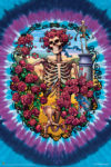 Grateful Dead Anniversary Poster