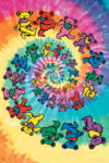 Grateful Dead Spiral Bear Poster