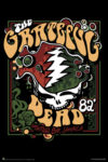 Grateful Dead Montego Bay Rasta Splash Poster