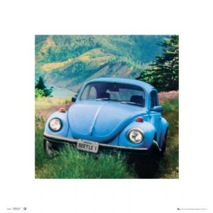 VW Californian Beetle Car Photographic Print