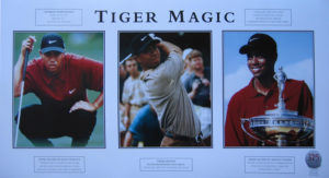 Tiger Woods Magic Ltd Ed Sports Print