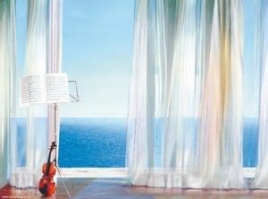 The Violin Time Photographic Print