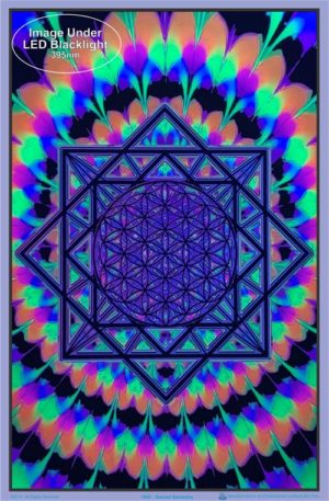 Sacred Geometry Flocked Velvet Blacklight Poster - Image 2