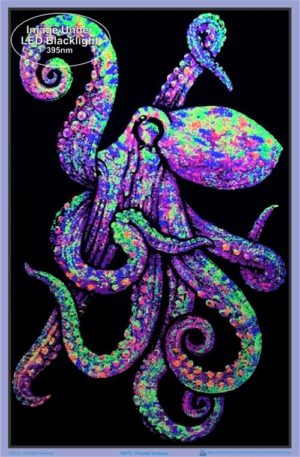 Painted Octopus Flocked Velvet Blacklight Poster - Image 2