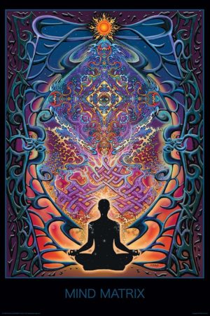 Mind Matrix Poster