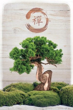 Bonsai Zen