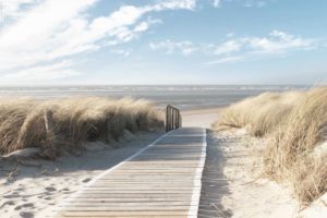 Dunes Path to Beach Poster