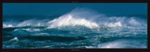 Gust of Wind Photographic Print