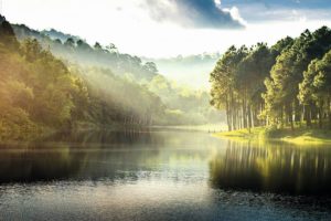 Mystic Forest Lake