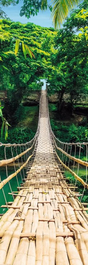 Rope Bridge Door Poster