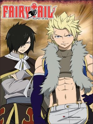 Fairy Tail Dragon Slayer Twins Poster