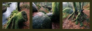 Celtic Stones Triptych Brittany Photographic Print