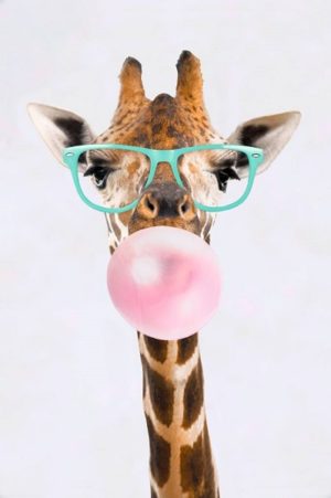 Funky Giraffe Bubble-gum Poster