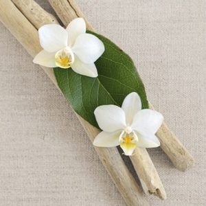 Chatelain - Orchid and Wood Photographic Print