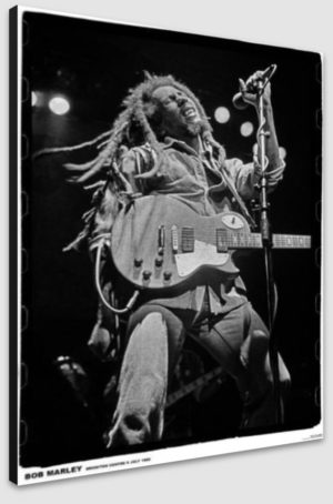 Bob Marley Poster Brighton Centre 1980 A1 Poster - Poster 59.5x84cm Blockmounted