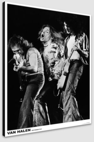 Van Halen Rotterdam 1979 A1 Poster - Poster 59.5x84cm Blockmounted