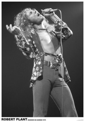 Led Zeppelin Robert Plant Madison Square Gardens New York 1975 A1 Poster