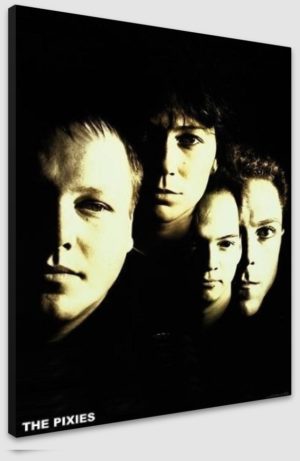 The Pixies A1 Poster - Poster 59.5x84cm Blockmounted