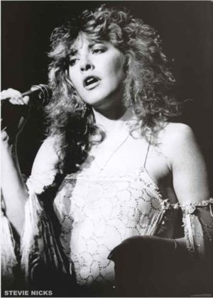 Fleetwood Mac Stevie Nicks Rumours Tour 1970s A1 Poster
