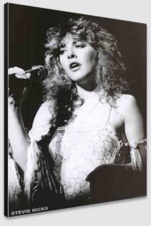 Fleetwood Mac Stevie Nicks Rumours Tour 1970s A1 Poster - Poster 59.5x84cm Blockmounted