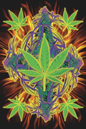 Joseph Charron - Flaming Leaf