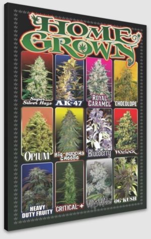 Home Grown Poster - Maxi Poster 61x91.5cm Blockmounted