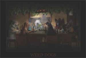 Weed Dogs Poster