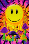 Have A Nice Trip Flocked Velvet Blacklight Poster
