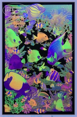 Living Reef Flocked Velvet Blacklight Poster - Image 2