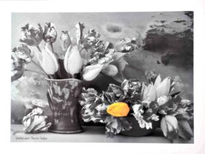 Yellow And Parrot Tulips Art Print