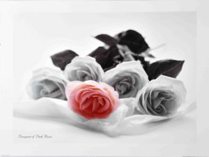 Bouquet Of Pink Roses Photographic Print
