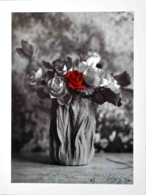 Red Roses Photographic Print