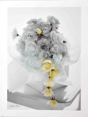 White Roses Photographic Print