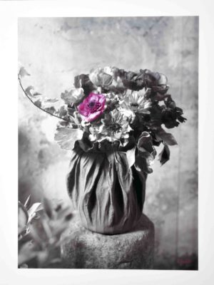 Violets Photographic Print
