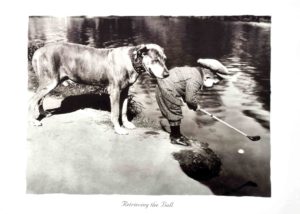Retrieving The Golf Ball Photographic Print