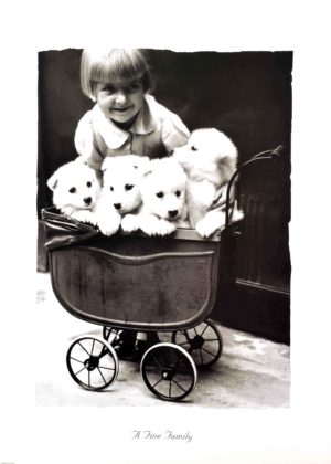 A Fine Family Photographic Print