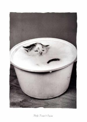 Help I Can't Swim Photographic Print